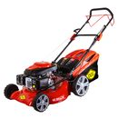 Газонокосилка бензиновая DDE LM 46-60 D (4,5 л.с., 46 см, 25-75 мм, сборник 60 л, самоходная)