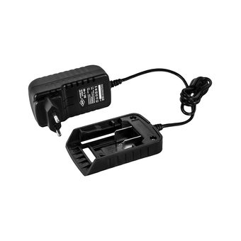 Зарядное устройство DDE  BlueTech BC 1-40 (40 В, 0,5 А)