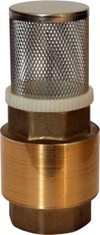 Обратный клапан QUATTRO ELEMENTI съемная сетка, внутр. резьба 1", латунь (771-817)
