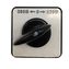 Переключатель режима DDE для генератора DPG10553E (220V-380V)