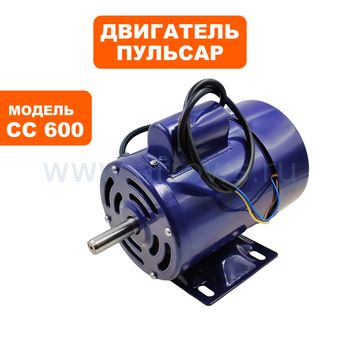 Двигатель эл. переменного тока ПУЛЬСАР СС600 (791-417-075)