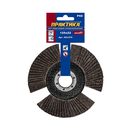 Круг лепестковый торцевой ПРАКТИКА стробоскопический 125 х 22 мм Р  60 (1шт.) серия Эксперт (922-876)