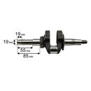 Коленвал DDE 168F/170F Ø19мм, конус 19мм, вылет 55мм, под поршень Н=49мм