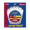 Диск алмазный турбосегментный ПРАКТИКА "Эксперт-гранит" 230 х 22 мм, сегмент 10мм (032-331)