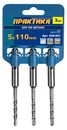 Бур SDS-plus ПРАКТИКА     5 х 110 мм, 3 шт, серия "Мастер", клипса (648-601)