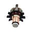 Якорь MAKITA BTD140 --> 619372-8 (619247-1)