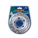 Чашка алмазная ПРАКТИКА "Мастер" шлифовальная 2-ряда 125 х 22 мм  блистер (779-608)