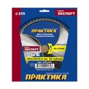 Диск пильный твердосплавный по стали ПРАКТИКА 255 х 30\25,4 мм, 60 зубьев (921-848)