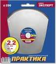 Диск алмазный турбированный ПРАКТИКА "Эксперт" Супертонкий 250 х 25,4/22,2 мм, толщина 2,2 мм, по керамограниту (644-665)