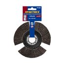 Круг лепестковый торцевой ПРАКТИКА стробоскопический 125 х 22 мм Р 100 (1шт.) серия Эксперт (922-890)