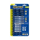 Набор пилок для лобзика ПРАКТИКА универсальный, 8 типов, 16 шт, блистер (244-391)