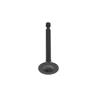 Клапан впускной DDE для двигателя T475 (75170010000)