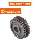 Шестерня DDE Кентавр /Алеша П двойная,коробки передач 35Z/39Z