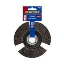 Круг лепестковый торцевой ПРАКТИКА стробоскопический 125 х 22 мм Р  80 (1шт.) серия Эксперт (922-883)