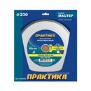 Диск алмазный несегментный ПРАКТИКА "Мастер" 230 х 25,4/22 мм (030-658)