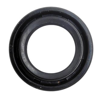 Сальник DDE 15×24×5 WP250/PN25-II