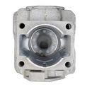 Поршневая группа DDE GB 450 Pro (909-730-013)