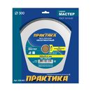 Диск алмазный несегментный ПРАКТИКА "Мастер" 300 х 25,4 мм (038-951)