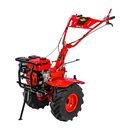 Мотоблок DDE  Алеша П (8 л.с., КПП 3F/1R, max. 110 см, фрезы 24 ножа, колеса 19"х7"-8", редуктор чугун)